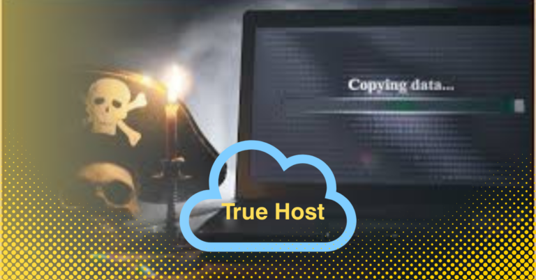 piracy skull and sword and a laptop with the message copying data and the Truehost logo